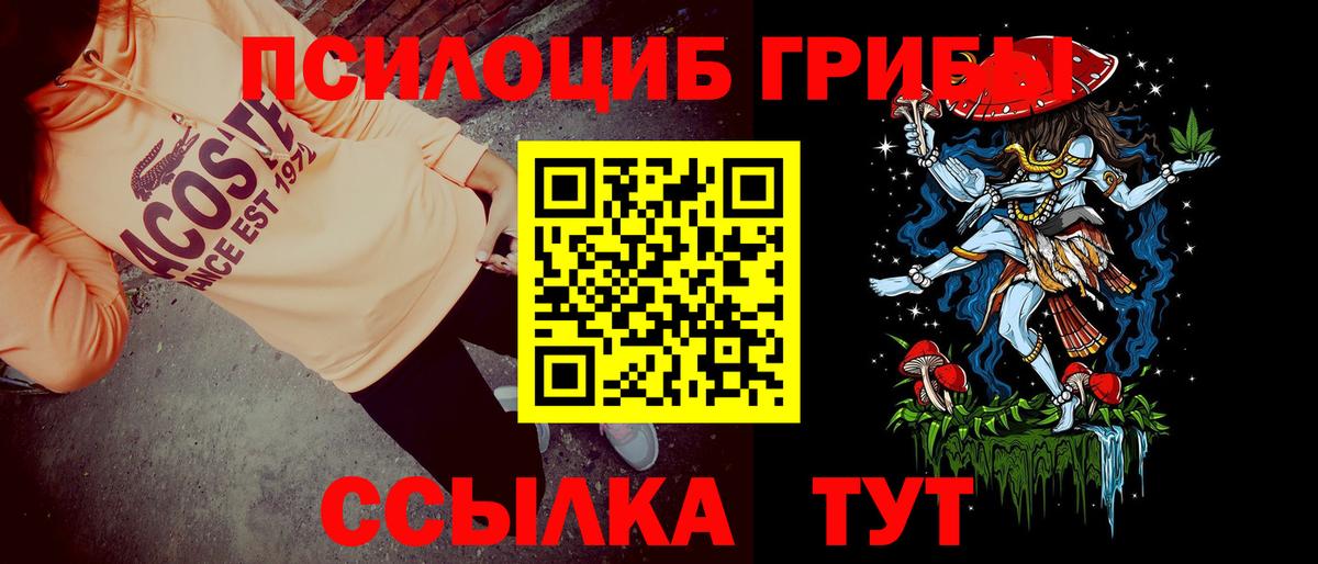 Камышин  Галлюциногенные грибы мухоморы  Вход с VPN  Псилоцибиновые грибы Psilocybe 