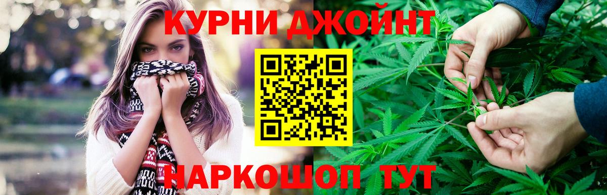 Бошки Шишки конопля Камышин